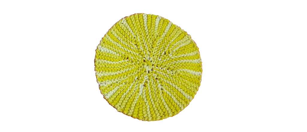 dish-cloth-round2-1024×442